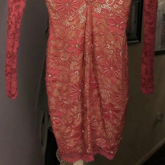 NWT HOLT ELI Pink Handmade Paint Lace rhinestones Embellished Dress - Picture 2 of 5